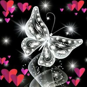 Meet your Posher, Jean